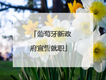 葡萄牙新政府宣誓就职