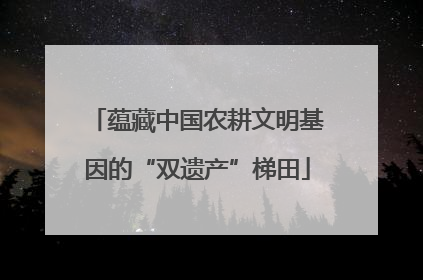 蕴藏中国农耕文明基因的“双遗产”梯田