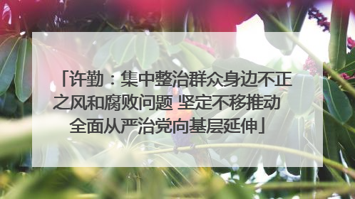 许勤：集中整治群众身边不正之风和腐败问题 坚定不移推动全面从严治党向基层延伸