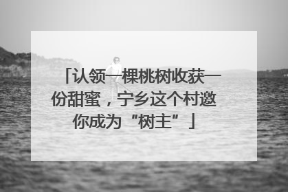 认领一棵桃树收获一份甜蜜，宁乡这个村邀你成为“树主”