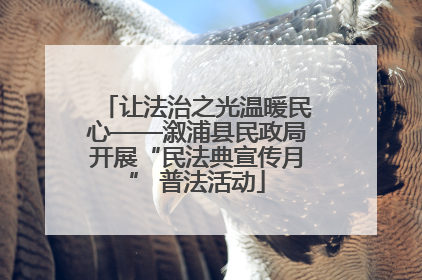 让法治之光温暖民心——溆浦县民政局开展“民法典宣传月” 普法活动