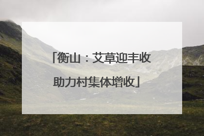 衡山：艾草迎丰收 助力村集体增收