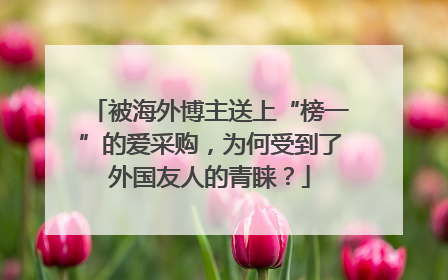 被海外博主送上“榜一”的爱采购,为何受到了外国友人的青睐?