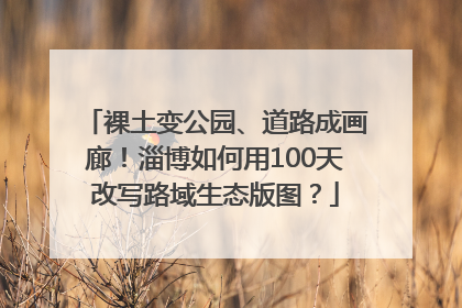 裸土变公园、道路成画廊！淄博如何用100天改写路域生态版图？
