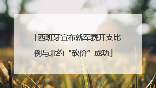西班牙宣布就军费开支比例与北约“砍价”成功