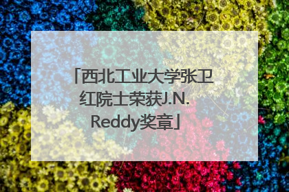 西北工业大学张卫红院士荣获J.N.Reddy奖章