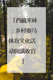 西藏米林：乡村赛马体育文化活动圆满收官
