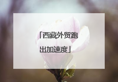 西藏外贸跑出加速度