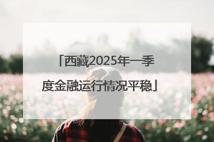 西藏2025年一季度金融运行情况平稳