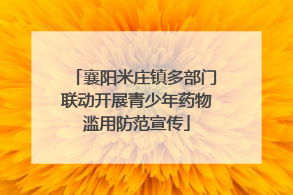 襄阳米庄镇多部门联动开展青少年药物滥用防范宣传