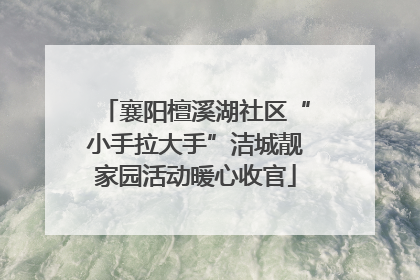 襄阳檀溪湖社区“小手拉大手”洁城靓家园活动暖心收官
