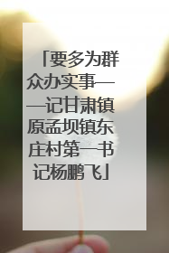 要多为群众办实事——记甘肃镇原孟坝镇东庄村第一书记杨鹏飞
