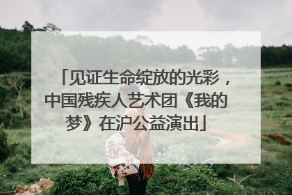 见证生命绽放的光彩，中国残疾人艺术团《我的梦》在沪公益演出