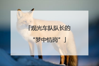 观光车队队长的“梦中情岗”