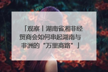 观察丨湖南省湘非经贸商会如何串起湖南与非洲的“万里商路”