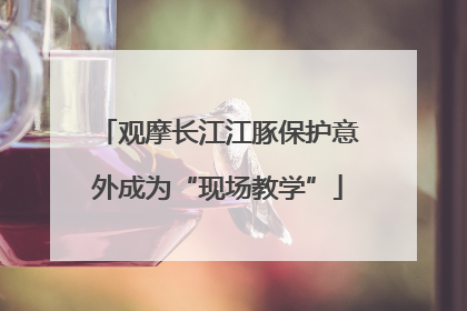 观摩长江江豚保护意外成为“现场教学”