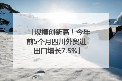 规模创新高！今年前5个月四川外贸进出口增长7.5%