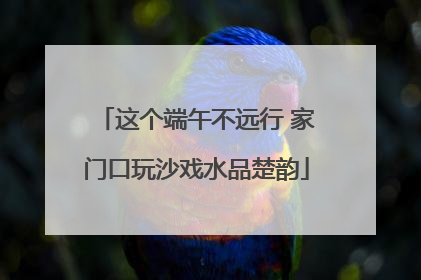 这个端午不远行 家门口玩沙戏水品楚韵