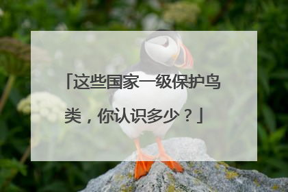 这些国家一级保护鸟类，你认识多少？
