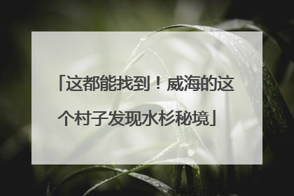 这都能找到！威海的这个村子发现水杉秘境