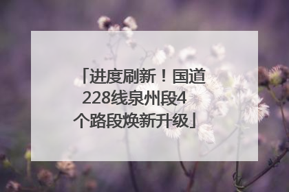 进度刷新！国道228线泉州段4个路段焕新升级