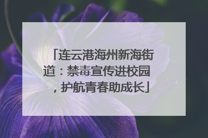 连云港海州新海街道：禁毒宣传进校园，护航青春助成长
