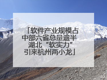 软件产业规模占中部六省总量逾半 湖北“软实力”引来杭州两小龙