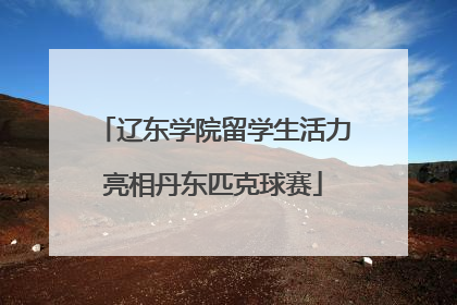 辽东学院留学生活力亮相丹东匹克球赛