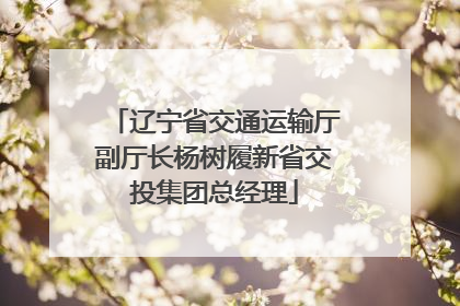 辽宁省交通运输厅副厅长杨树履新省交投集团总经理