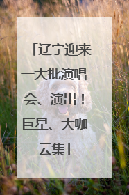 辽宁迎来一大批演唱会、演出！巨星、大咖云集