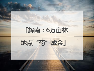 辉南：6万亩林地点“药”成金