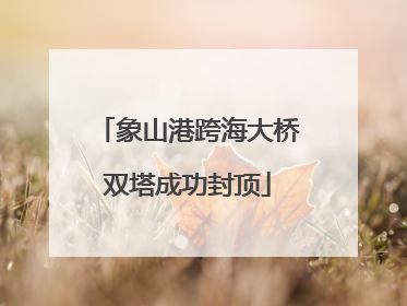 象山港跨海大桥双塔成功封顶