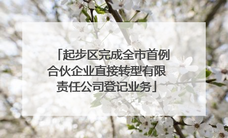 起步区完成全市首例合伙企业直接转型有限责任公司登记业务