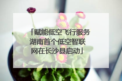 赋能低空飞行服务 湖南首个低空智联网在长沙县启动