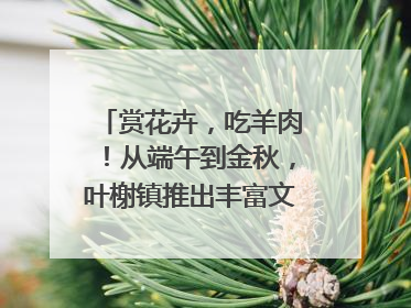赏花卉，吃羊肉！从端午到金秋，叶榭镇推出丰富文旅活动邀您爽玩