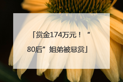 赏金174万元！“80后”姐弟被悬赏