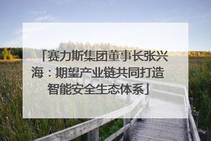 赛力斯集团董事长张兴海：期望产业链共同打造智能安全生态体系
