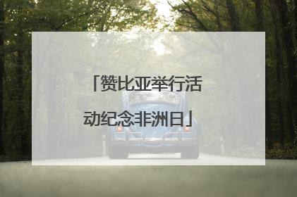 赞比亚举行活动纪念非洲日