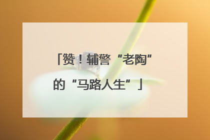 赞！辅警“老陶”的“马路人生”