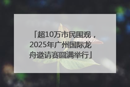超10万市民围观，2025年广州国际龙舟邀请赛圆满举行