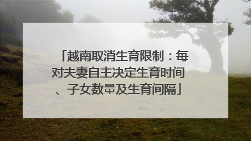越南取消生育限制：每对夫妻自主决定生育时间、子女数量及生育间隔