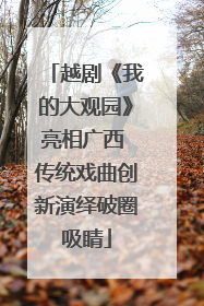 越剧《我的大观园》亮相广西 传统戏曲创新演绎破圈吸睛
