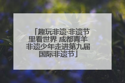 趣玩非遗·非遗节里看世界 成都青羊非遗少年走进第九届国际非遗节