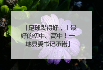 足球踢得好，上最好的初中、高中！一地县委书记承诺