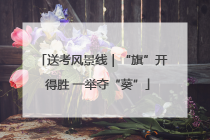 送考风景线｜“旗”开得胜 一举夺“葵”