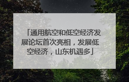 通用航空和低空经济发展论坛首次亮相，发展低空经济，山东机遇多
