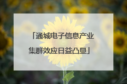 通城电子信息产业集群效应日益凸显