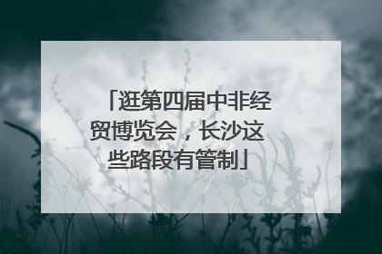 逛第四届中非经贸博览会，长沙这些路段有管制