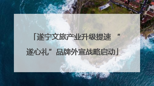 遂宁文旅产业升级提速 “遂心礼”品牌外宣战略启动