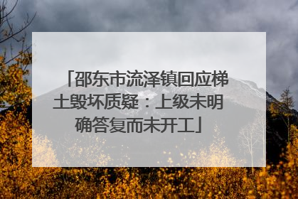 邵东市流泽镇回应梯土毁坏质疑：上级未明确答复而未开工